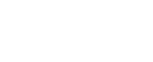 Signature LED Lighting